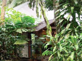 Heritage Lodge and Spa - In the Daintree - Tourism Canberra