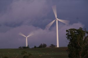 Crookwell Wind Farm - Tourism Canberra